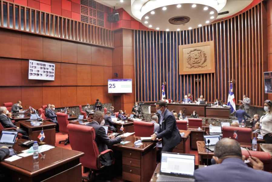 El documento establece que para el Estado dominicano cumplir con el artículo 49.1 de la Constitución. Foto: Senado de la República Dominicana