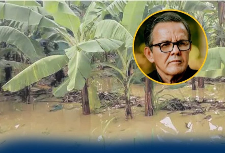 74ac496e-1e8c-4aab-81f3-c1caf2a74007 74ac496e-1e8c-4aab-81f3-c1caf2a74007