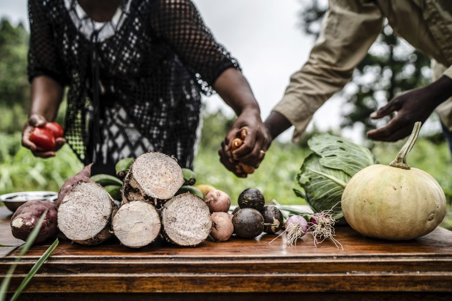 22 January 2020, Taita, Kenya - Members of Green rock farming group preparing a training day for local farmers in the area. They will teach them different farming techniques, facts about a mixed diet with different nutritions and the importance of good knowledge about market demands. The Trainer of Farmers hosts the demonstration farmer, where they do they carry out intensive trainings to the community on some of the good agronomical practices they were taught with FAO. Each lesson is of different crops. In this occasion they have cabbages, potatoes, turnips, carrots and fish farming. Green Rock is a farming group of 14 members, who have been taught on nutrition and the value of a variety of foods. Each memeber have a kitchen garden for substance use, and also crops that they farm and sell as a group.