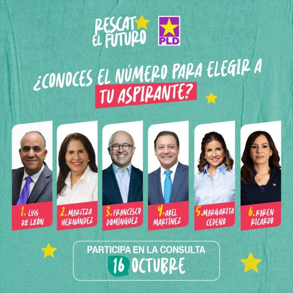 La boleta fue presentada en redes sociales. Foto: Twitter PLD