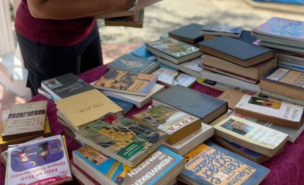 Libros-1140x694-1