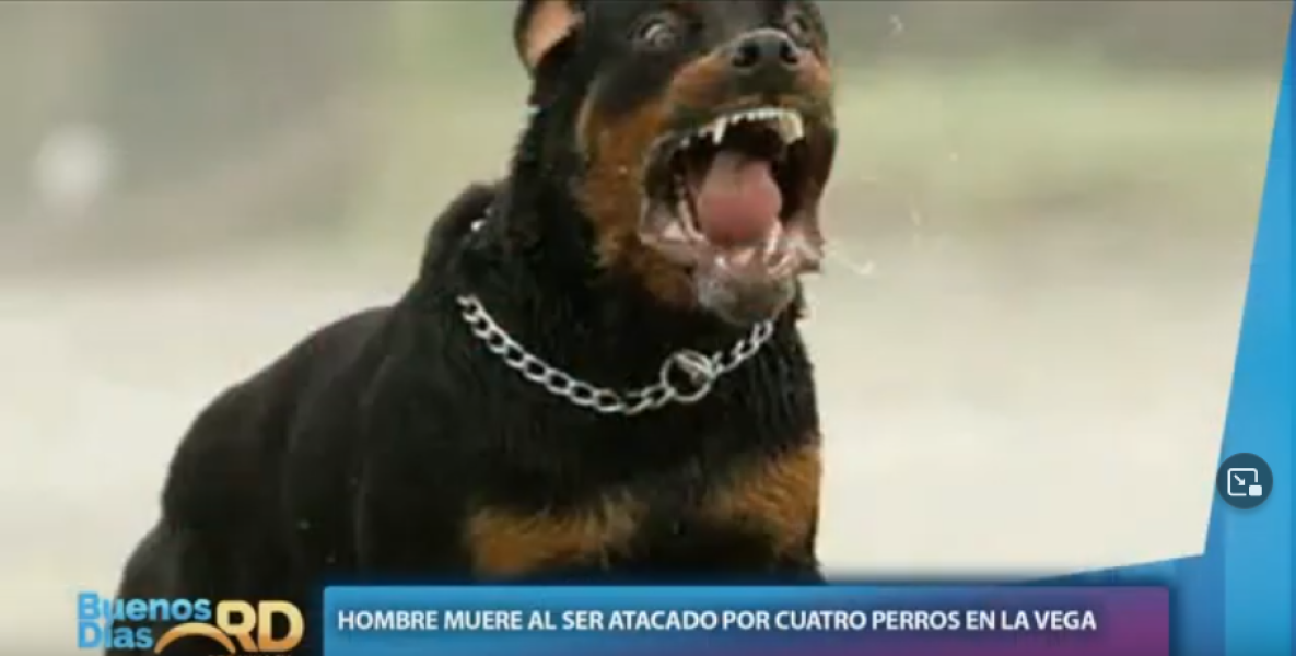 Sin título